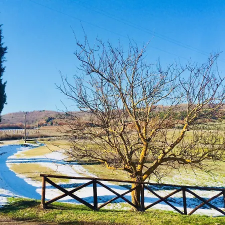 Piombaia