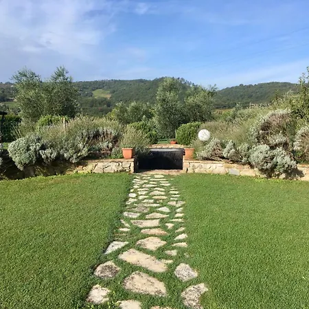 Piombaia Montalcino